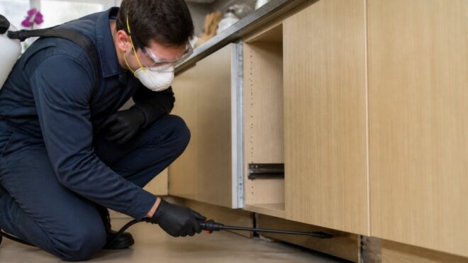 Affordable Rodent Control Services: Metro Boston Guide