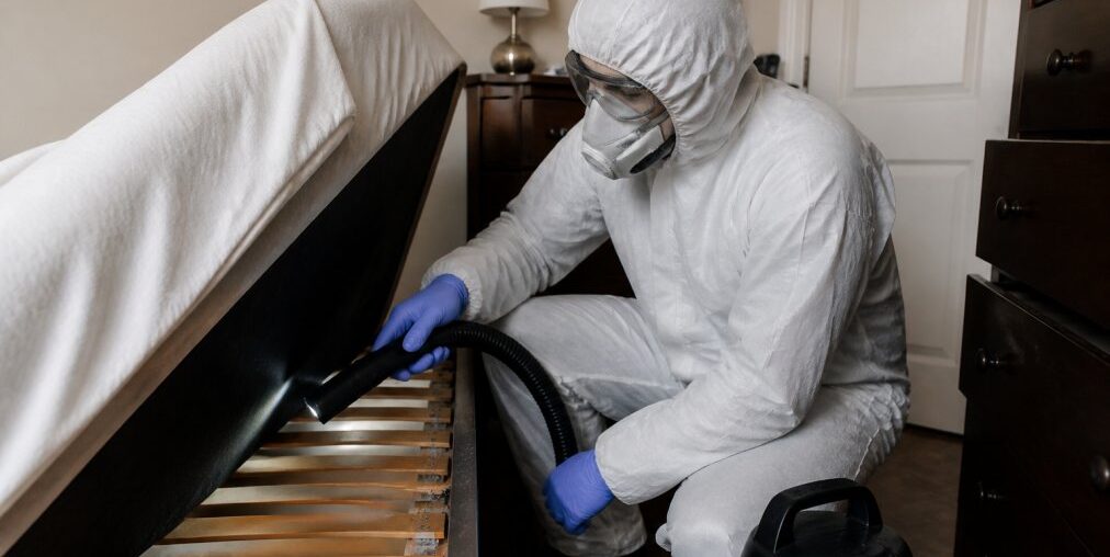 Emergency Bed Bug Removal Same Day: Fast Solutions