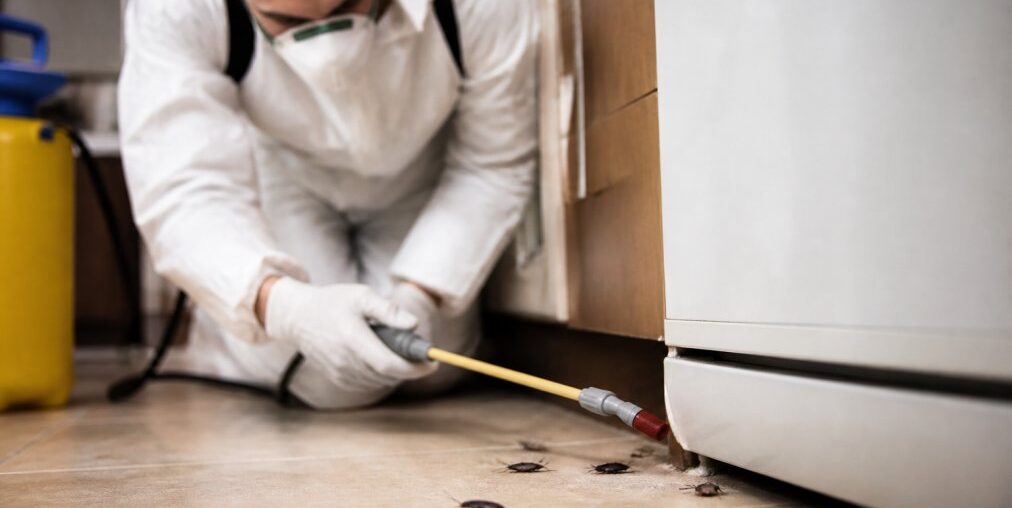 How to Get Rid of Roaches in Old Apartments