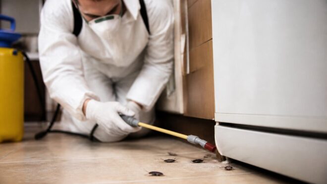 How to Get Rid of Roaches in Old Apartments