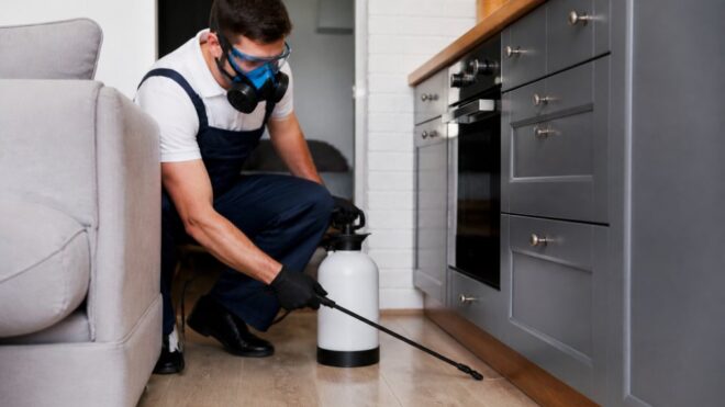 One-Time Pest Treatment for Renters: Rights & Options