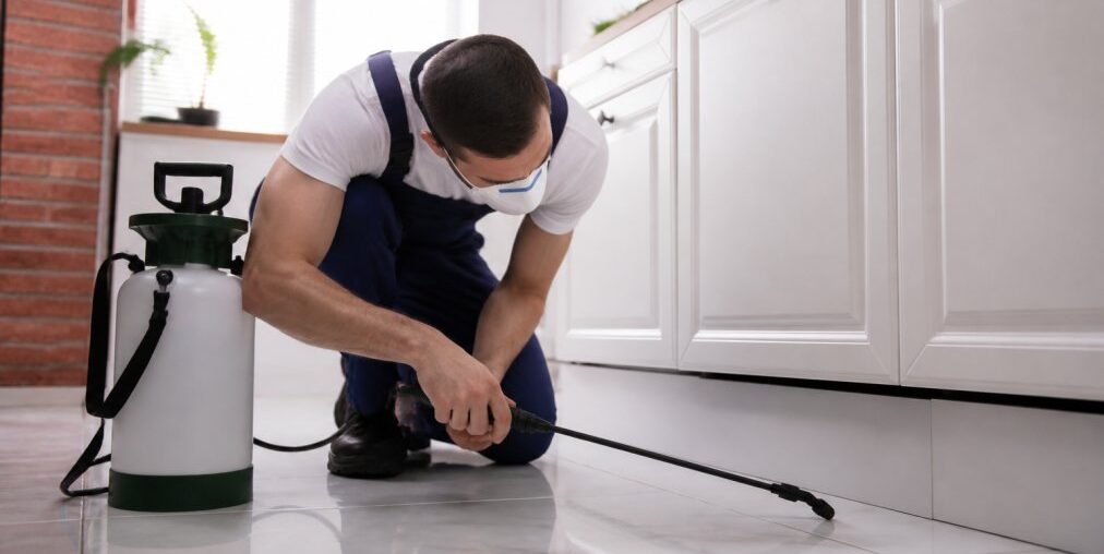 How to Choose a Reliable Local Exterminator: 2026 Guide