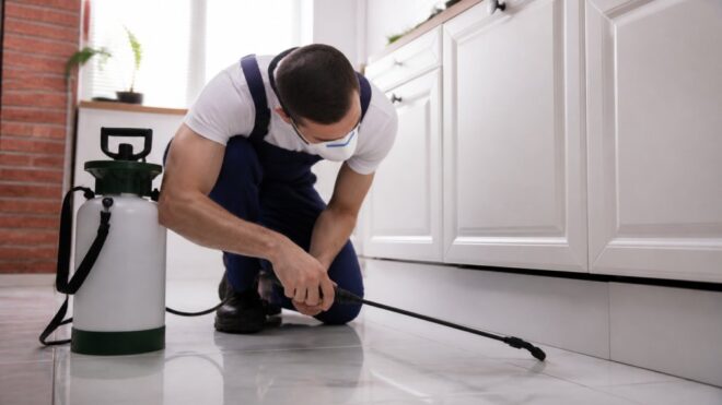 How to Choose a Reliable Local Exterminator: 2026 Guide