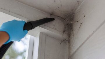 How to Safely Remove Spider Nests in Home