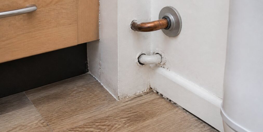 Seal Roach Entry Points in Apartments: A Renter's Guide