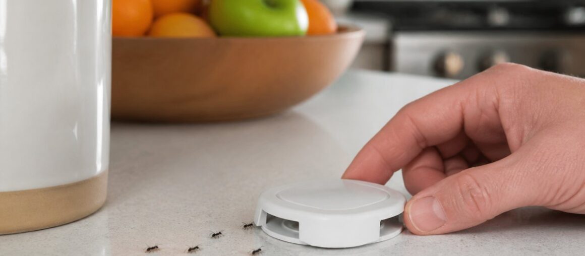 Best Non-Toxic Ant Bait for Kitchen Counters: 2026 Review