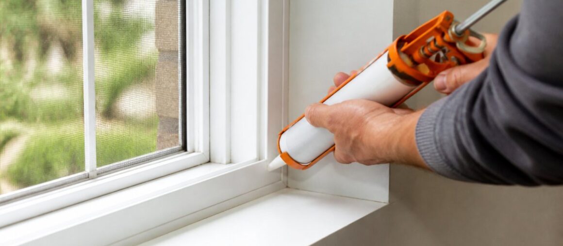 How to Stop Ants from Coming Through Window Frames