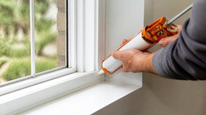 How to Stop Ants from Coming Through Window Frames