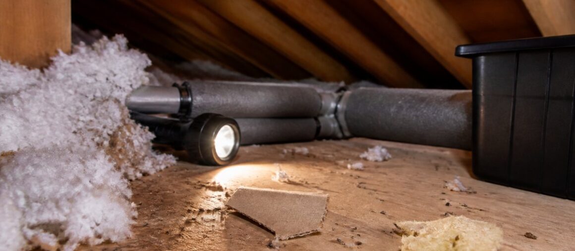 How to Tell If You Have Mice in Your Attic: 7 Signs