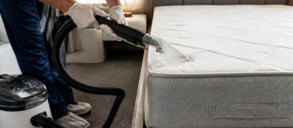 Long Term Bed Bug Prevention Strategies for Homeowners