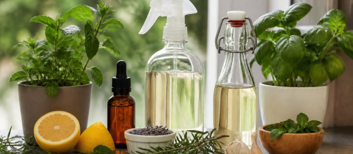 Natural Solutions for Seasonal Insect Prevention