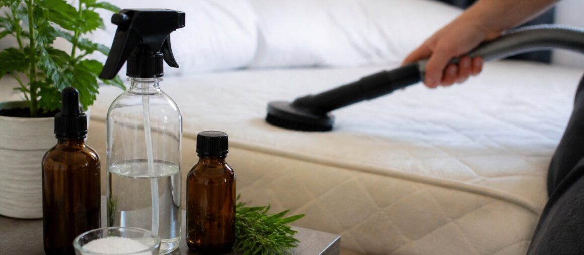 What Are the Best Natural Bed Bug Treatments for Boston Apartments?